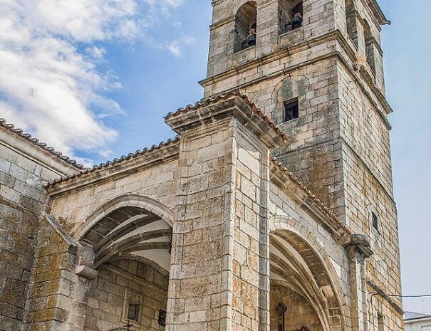 Fermoselle_Torre