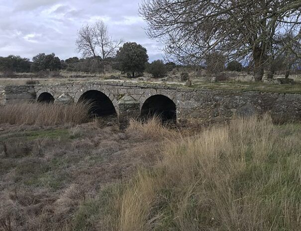 Puente_de_Sogo_y_calzada_Mirandesa_en_el_municipio_de_Pereruela